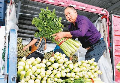 科技引领下的万邦蔬菜批发最新价格动态