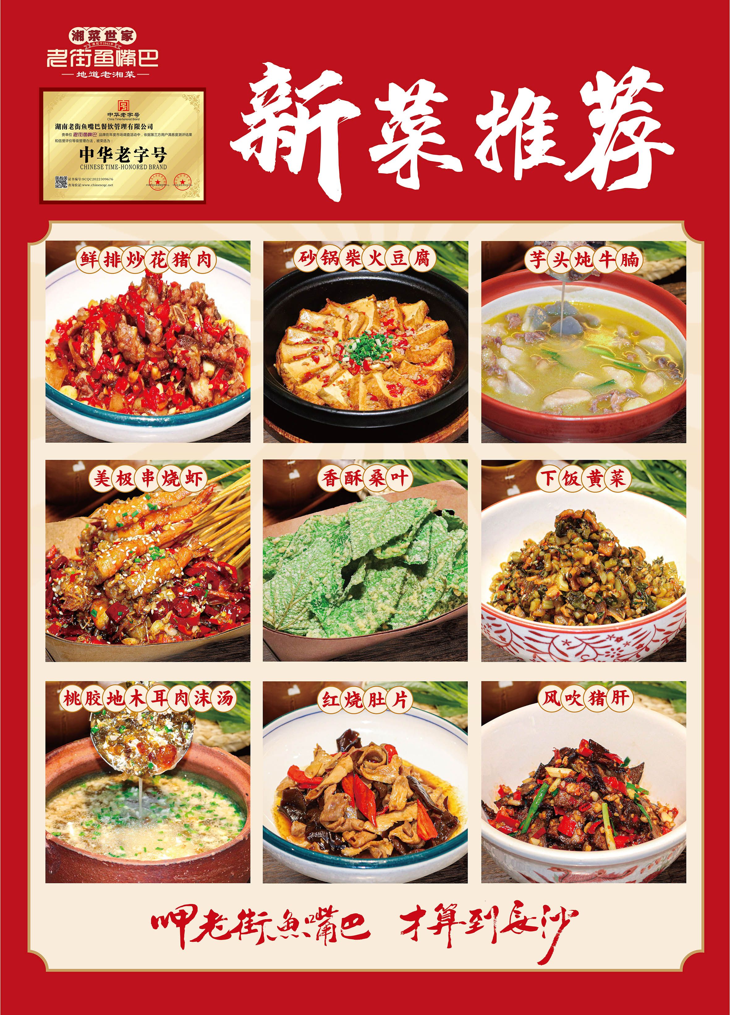 最新新菜，厨房中的温情与陪伴时光