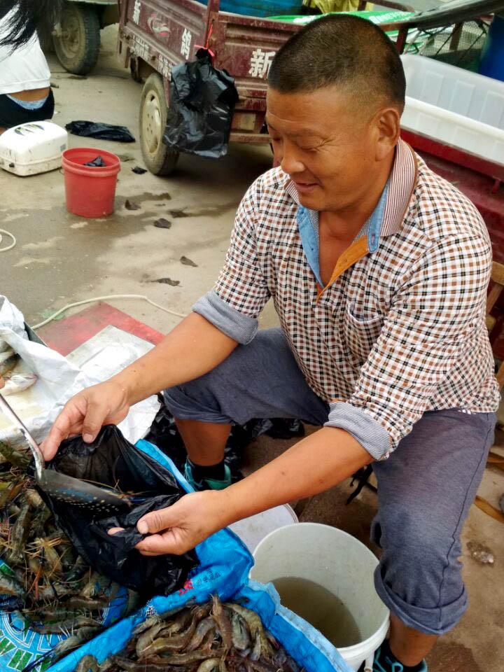 活对虾最新价格，探索海鲜市场最新动态
